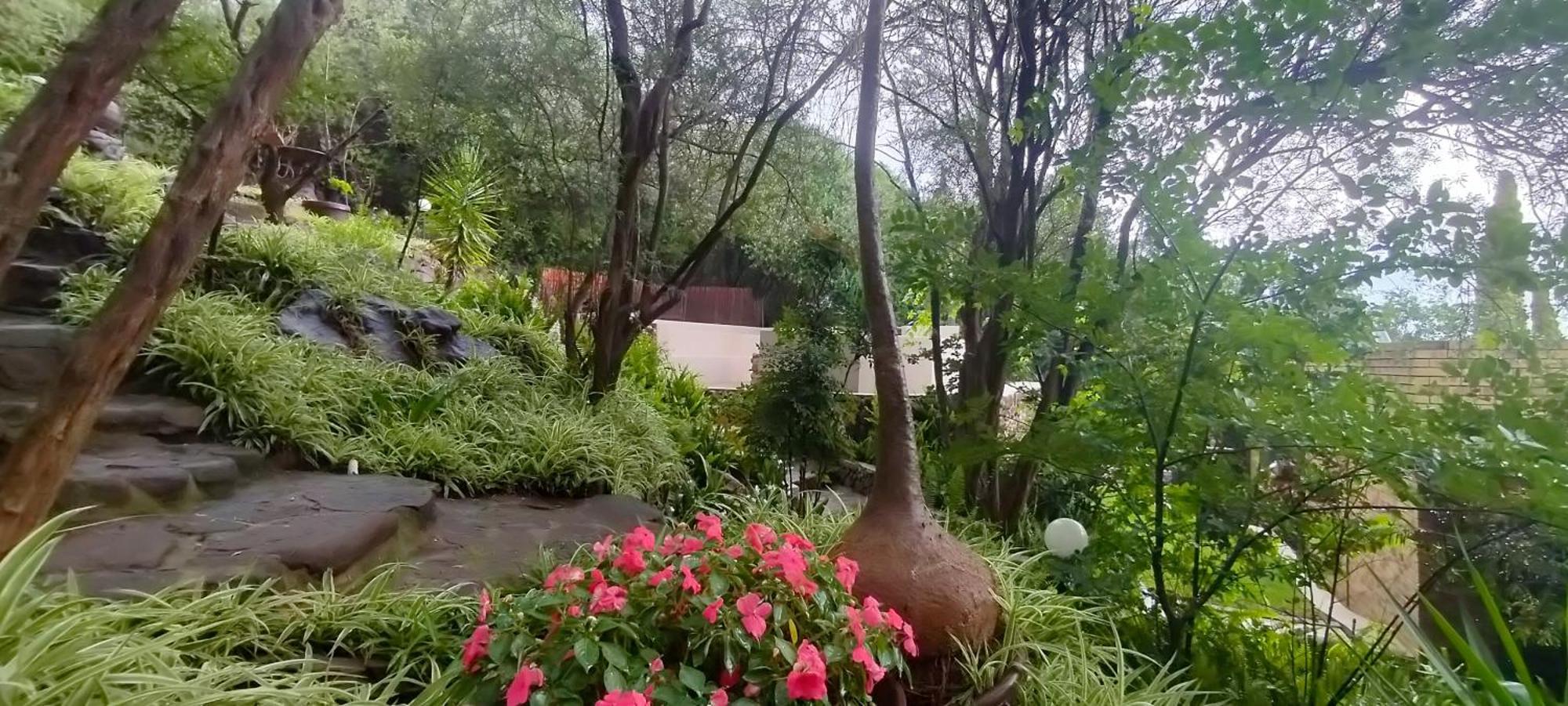 Mountain Gem Bed & Breakfast Bloemfontein Eksteriør bilde