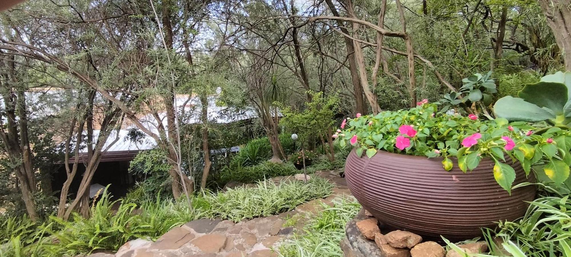 Mountain Gem Bed & Breakfast Bloemfontein Eksteriør bilde